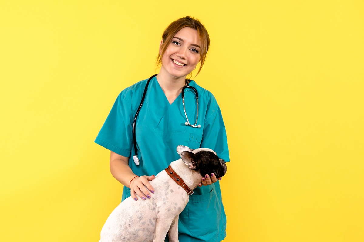 Como fazer SEO para clínicas e hospitais veterinários?