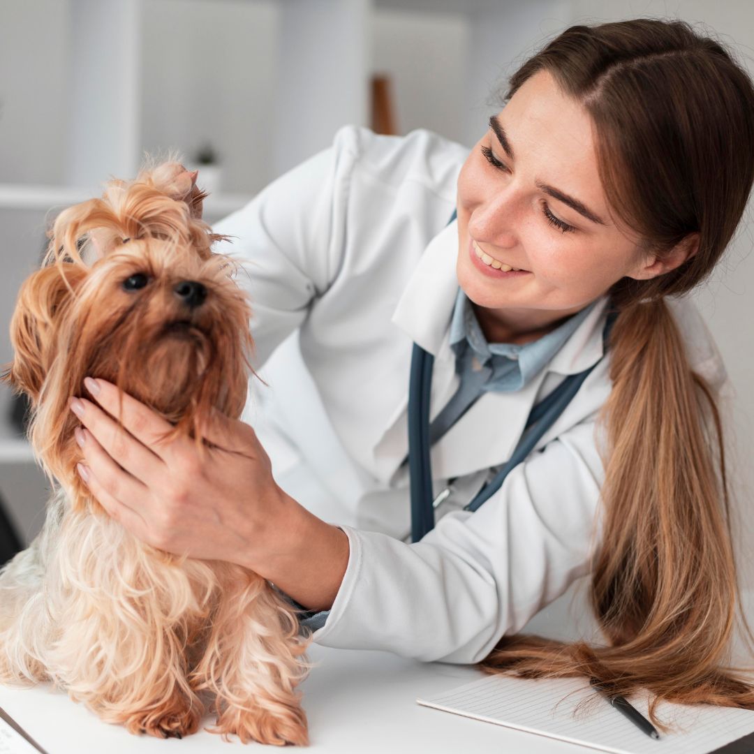 A importância de estratégias inovadoras para atrair clientes em sua clínica veterinária em 2024.