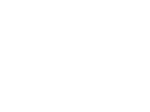 KitPet