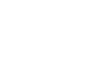 Instituto Marcelo Januzzi