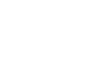 Pet Pillow