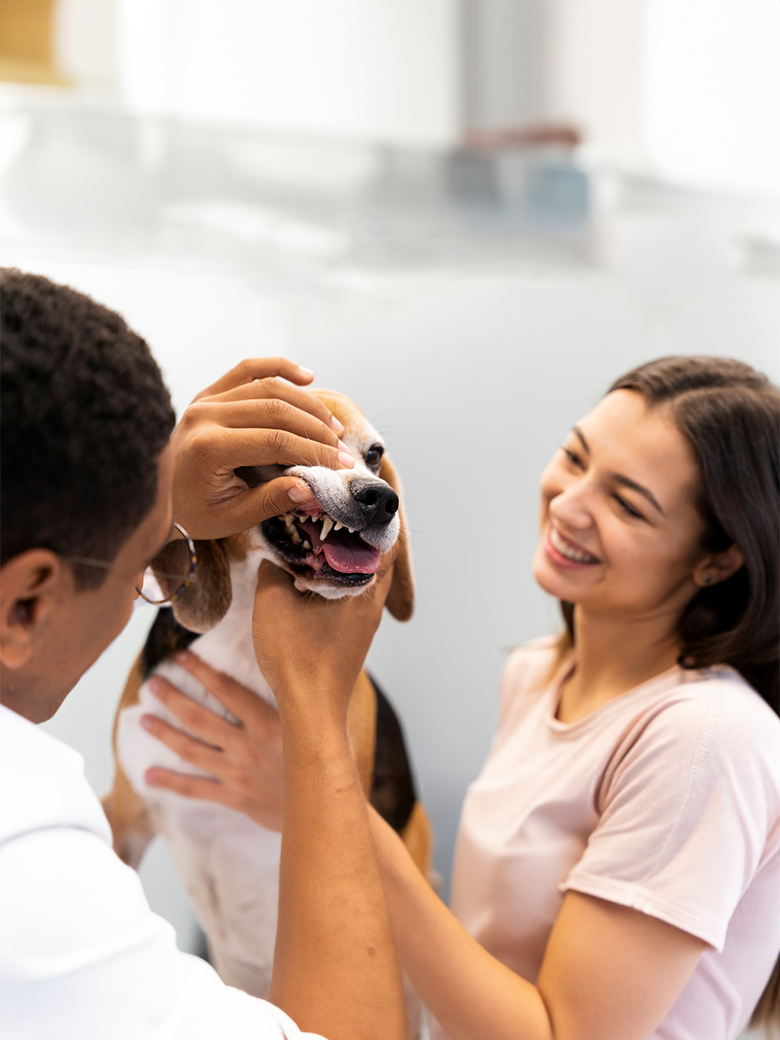 #3Fatores para o seu trabalho destacar no universo PET